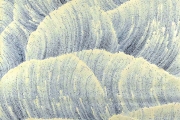 Sand Dunes 